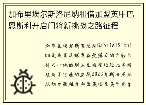 加布里埃尔斯洛尼纳租借加盟英甲巴恩斯利开启门将新挑战之路征程 加布里埃尔斯洛尼纳租借加盟英甲巴恩斯利开启门将新挑战之路征程